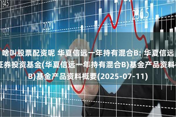 啥叫股票配资呢 华夏信远一年持有混合B: 华夏信远一年持有期混合型证券投资基金(华夏信远一年持有混合B)基金产品资料概要(2025-07-11)