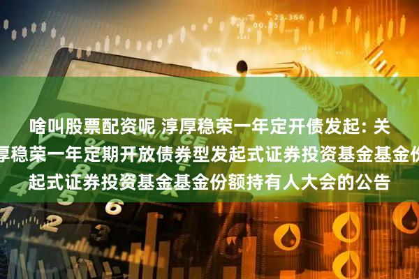 啥叫股票配资呢 淳厚稳荣一年定开债发起: 关于以通讯方式召开淳厚稳荣一年定期开放债券型发起式证券投资基金基金份额持有人大会的公告