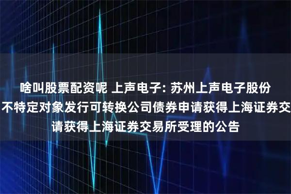 啥叫股票配资呢 上声电子: 苏州上声电子股份有限公司关于向不特定对象发行可转换公司债券申请获得上海证券交易所受理的公告