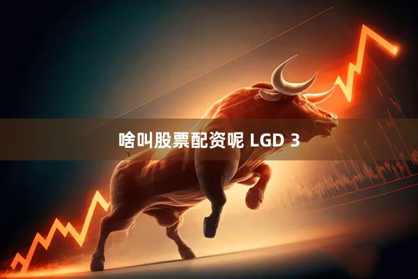 啥叫股票配资呢 LGD 3
